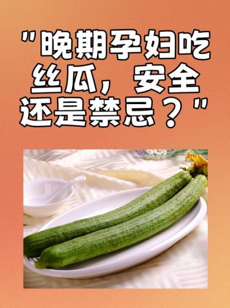 孕妇可以吃丝瓜吗_丝瓜对胎儿好吗-第1张图片-星辰妙记 孕妇可以吃丝瓜吗_丝瓜对胎儿好吗-第1张图片-星辰妙记