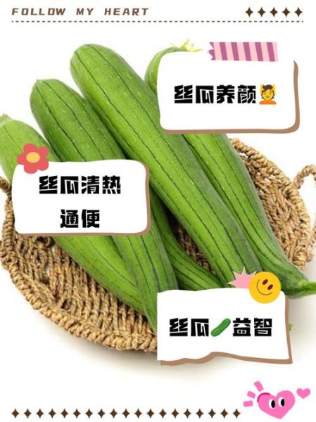 孕妇可以吃丝瓜吗_丝瓜对胎儿好吗-第3张图片-星辰妙记 孕妇可以吃丝瓜吗_丝瓜对胎儿好吗-第3张图片-星辰妙记