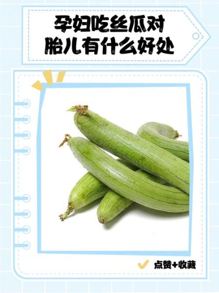 孕妇可以吃丝瓜吗_丝瓜对胎儿好吗-第2张图片-星辰妙记 孕妇可以吃丝瓜吗_丝瓜对胎儿好吗-第2张图片-星辰妙记