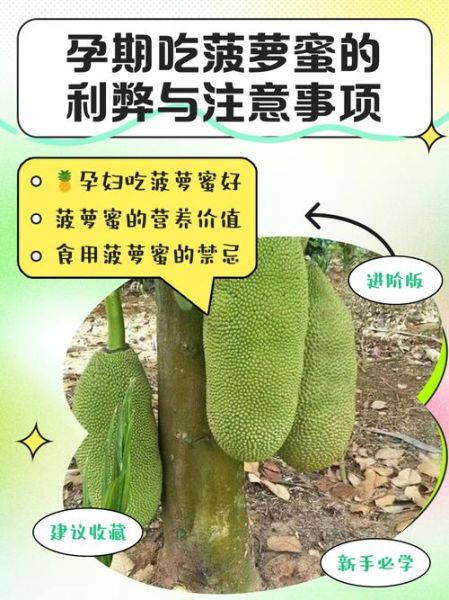 孕妇能吃菠萝蜜吗_孕妇吃菠萝蜜的注意事项-第1张图片-星辰妙记 孕妇能吃菠萝蜜吗_孕妇吃菠萝蜜的注意事项-第1张图片-星辰妙记