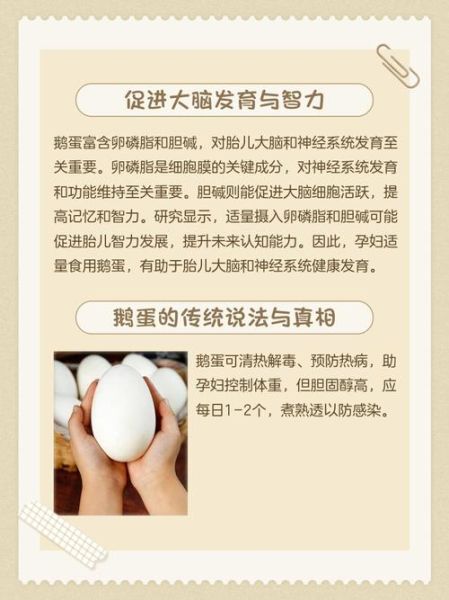 孕妇吃鹅蛋有什么好处_孕妇吃鹅蛋的最佳时间-第2张图片-星辰妙记 孕妇吃鹅蛋有什么好处_孕妇吃鹅蛋的最佳时间-第2张图片-星辰妙记