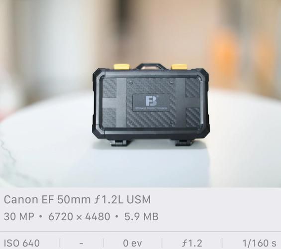 佳能国产镜头怎么样_佳能国产镜头有哪些-第2张图片-星辰妙记