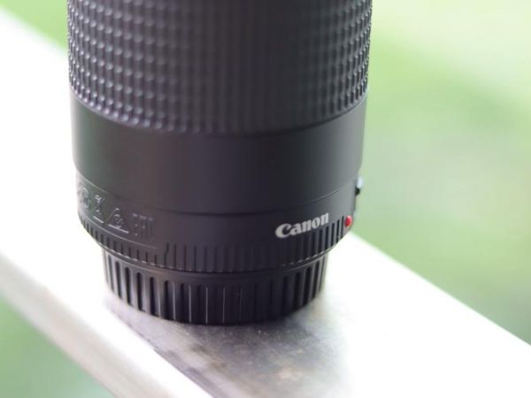 佳能75-300镜头怎么样_适合拍什么题材-第3张图片-星辰妙记