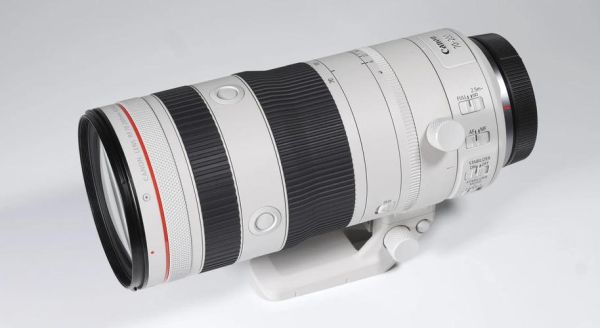 70-200镜头适合拍什么_怎么选最划算-第2张图片-星辰妙记