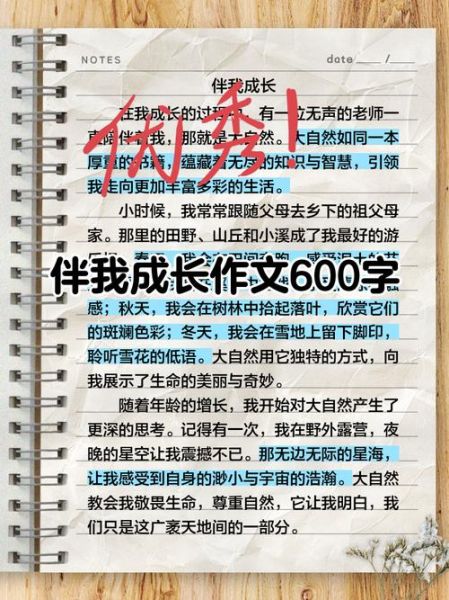 什么伴我成长作文600字怎么写_如何写出高分成长作文-第1张图片-星辰妙记