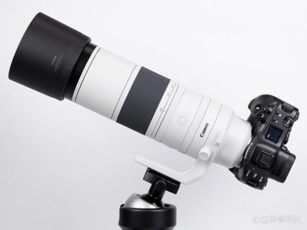 佳能800mm镜头值得买吗_实拍体验如何-第2张图片-星辰妙记