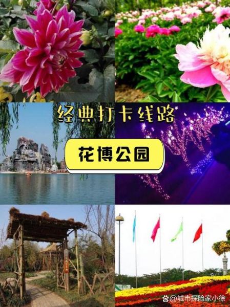 蚌埠花博园门票多少钱_蚌埠花博园好玩吗-第1张图片-星辰妙记