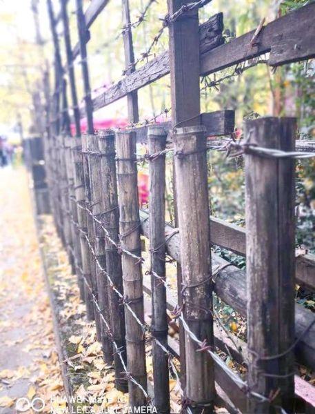 华为莱卡镜头拍照效果怎么样_华为莱卡镜头和蔡司镜头哪个好-第3张图片-星辰妙记