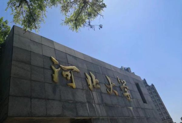 河北大学校园缴费平台怎么用_河北大学校园缴费平台登录入口在哪-第1张图片-星辰妙记