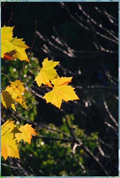 553镜头适合拍什么_553镜头画质怎么样-第1张图片-星辰妙记