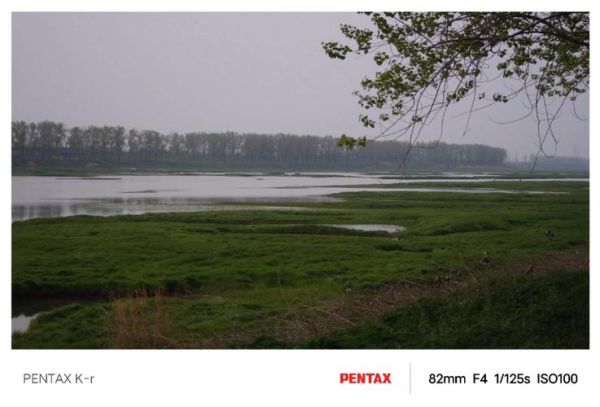 553镜头适合拍什么_553镜头画质怎么样-第2张图片-星辰妙记