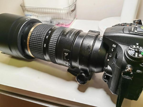 上海腾龙镜头哪里买_腾龙镜头上海实体店-第3张图片-星辰妙记