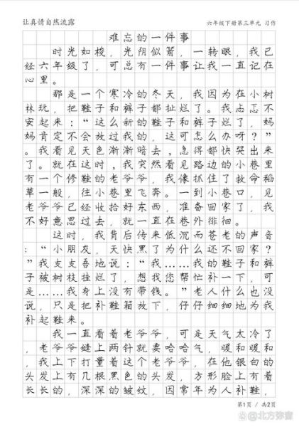 难忘的一件事作文怎么写_难忘的一件事500字范文-第2张图片-星辰妙记