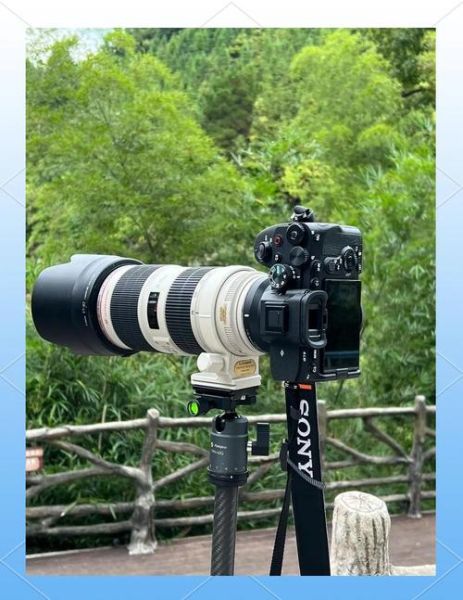 长焦镜头是什么意思_长焦镜头适合拍什么-第3张图片-星辰妙记