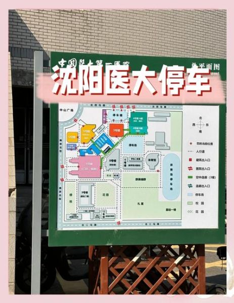 中国医科大学地址在哪_沈阳和平区具体怎么走-第1张图片-星辰妙记