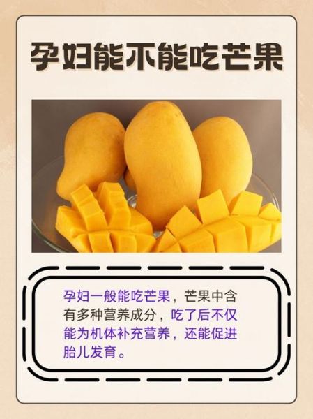 孕妇可以吃芒果吗_孕妇吃芒果的注意事项-第1张图片-星辰妙记