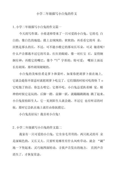小白兔作文怎么写_二年级小白兔作文素材-第2张图片-星辰妙记 小白兔作文怎么写_二年级小白兔作文素材-第2张图片-星辰妙记