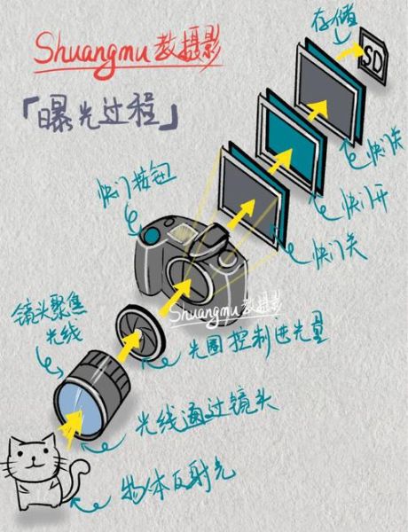 微单没有镜头能用吗_微单无镜头拍摄方法-第1张图片-星辰妙记