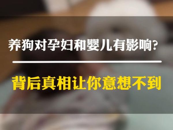 孕妇可以养狗吗_孕期养狗对胎儿的影响-第1张图片-星辰妙记