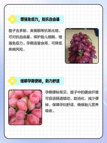 孕妇可以吃提子吗_怀孕吃提子对胎儿好吗-第1张图片-星辰妙记