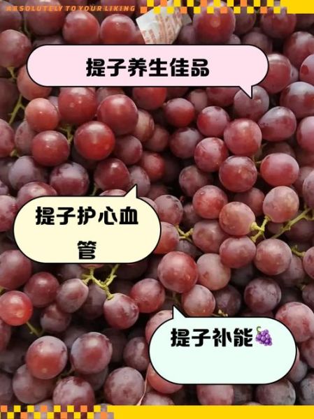 孕妇可以吃提子吗_怀孕吃提子对胎儿好吗-第3张图片-星辰妙记