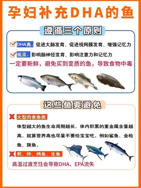 孕妇能吃哪些鱼_孕期吃鱼的注意事项-第3张图片-星辰妙记