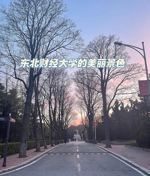 东北财经大学在哪个城市_东北财经大学地址在哪里-第2张图片-星辰妙记
