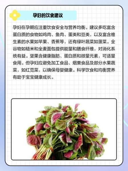 孕妇能吃苋菜吗_苋菜对胎儿有影响吗-第1张图片-星辰妙记 孕妇能吃苋菜吗_苋菜对胎儿有影响吗-第1张图片-星辰妙记