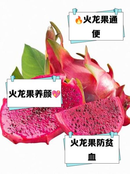 孕妇可以吃火龙果吗_火龙果对胎儿的好处-第1张图片-星辰妙记