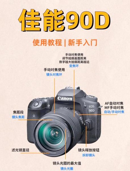 D90镜头怎么选_D90配什么镜头性价比高-第1张图片-星辰妙记