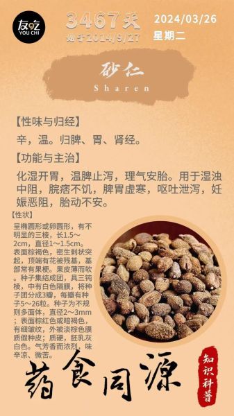 砂仁孕妇可以吃吗_砂仁对孕妇安全吗-第1张图片-星辰妙记