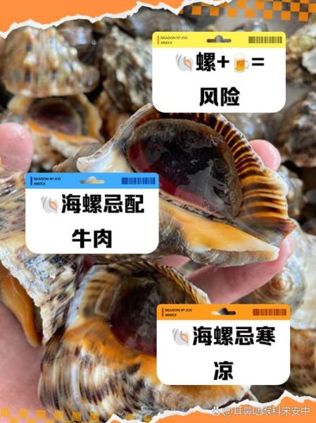 孕妇能吃海螺吗_怀孕吃海螺注意事项-第3张图片-星辰妙记