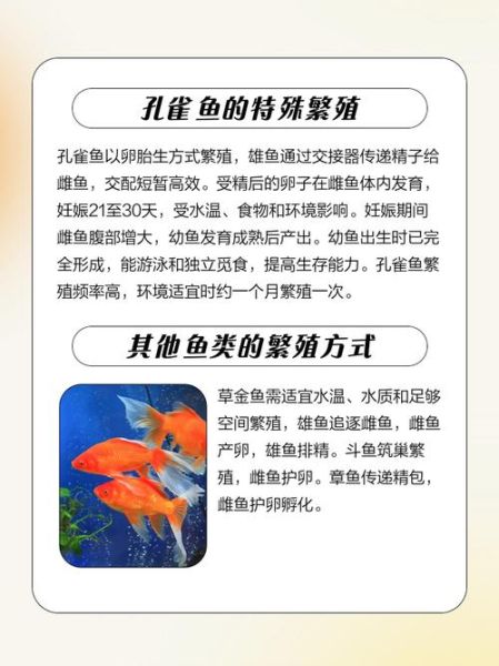 孕妇梦到鱼是什么意思_孕妇梦见鱼生男生女-第2张图片-星辰妙记