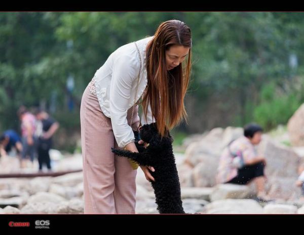 小小白镜头怎么样_小小白镜头适合拍什么-第3张图片-星辰妙记