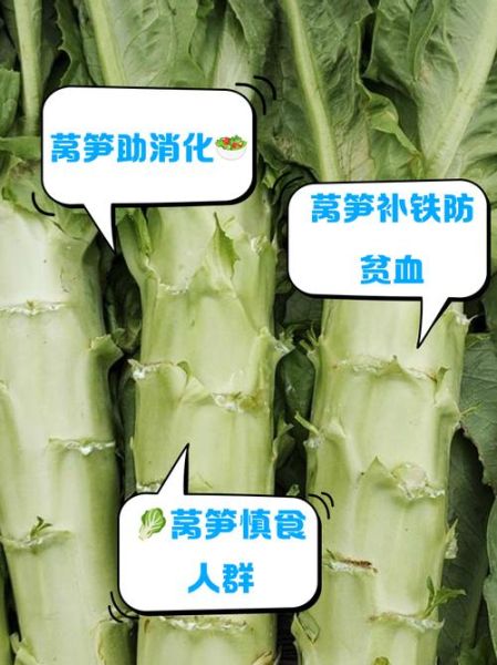 莴笋孕妇能吃吗_孕妇吃莴笋的好处与禁忌-第3张图片-星辰妙记