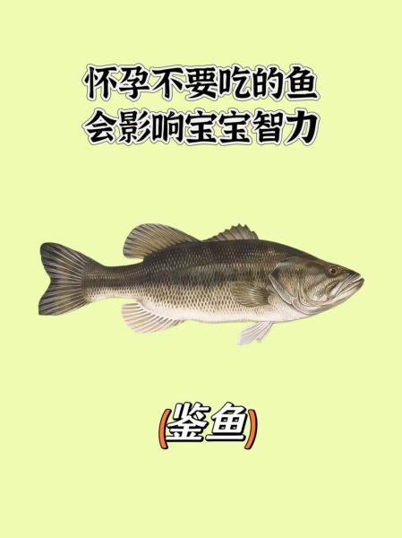 孕妇吃什么鱼对胎儿好_哪些鱼不能吃-第1张图片-星辰妙记