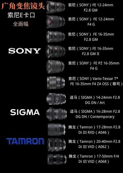 sony e口镜头怎么选_索尼微单镜头推荐-第1张图片-星辰妙记