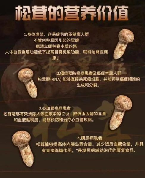 孕妇可以吃松茸吗_松茸对孕妇的好处与风险-第1张图片-星辰妙记