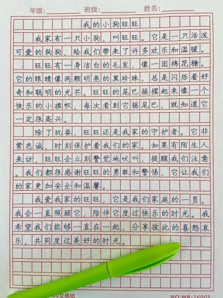 如何写我与小狗的故事_小学生作文怎么写800字-第3张图片-星辰妙记