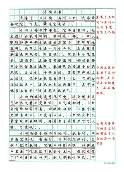 如何写我与小狗的故事_小学生作文怎么写800字-第1张图片-星辰妙记