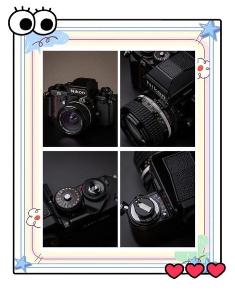 尼康f3镜头怎么选_尼康f3镜头推荐-第3张图片-星辰妙记