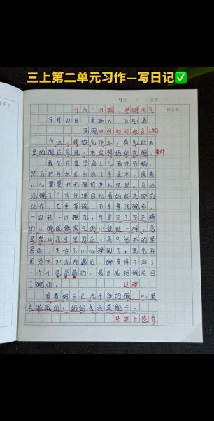 三年级写事作文怎么写_写事作文开头怎么写-第3张图片-星辰妙记