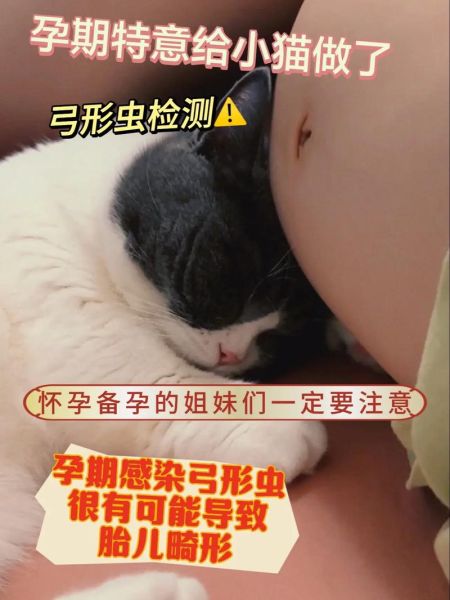 半熟的鸡蛋弓形虫孕妇_安全吃法-第2张图片-星辰妙记