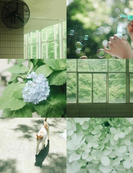 佳能镜头色彩怎么样_佳能镜头色彩偏黄怎么办-第2张图片-星辰妙记