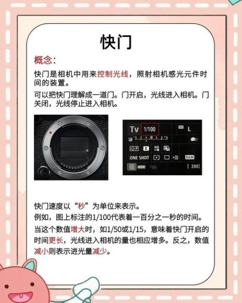 单反拉近镜头怎么调_拉近镜头模糊怎么办-第3张图片-星辰妙记