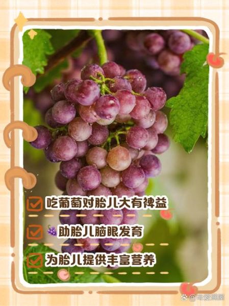 孕妇可以吃葡萄吗_孕期吃葡萄的好处与禁忌-第2张图片-星辰妙记