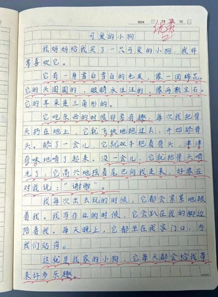 可爱的小狗作文怎么写_如何描写小狗的可爱之处-第2张图片-星辰妙记