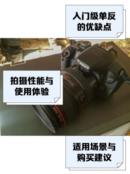 佳能800d配什么镜头_佳能800d人像镜头推荐-第1张图片-星辰妙记