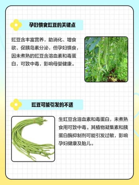 孕妇能吃豆角吗_孕妇吃豆角注意事项-第2张图片-星辰妙记