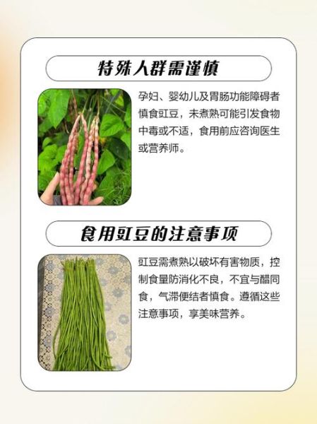 孕妇能吃豆角吗_孕妇吃豆角注意事项-第3张图片-星辰妙记